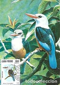 Stamps: Cabo Verde & Maxima Passarinha, halcyon leucocephala 1983 (30)